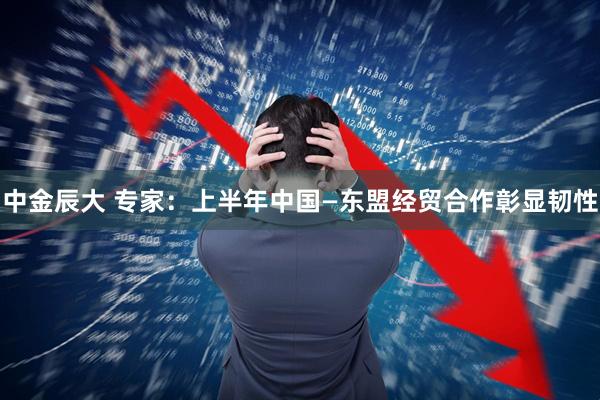 中金辰大 专家：上半年中国—东盟经贸合作彰显韧性
